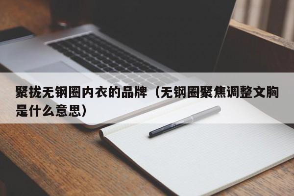 聚拢无钢圈内衣的品牌（无钢圈聚焦调整文胸是什么意思）